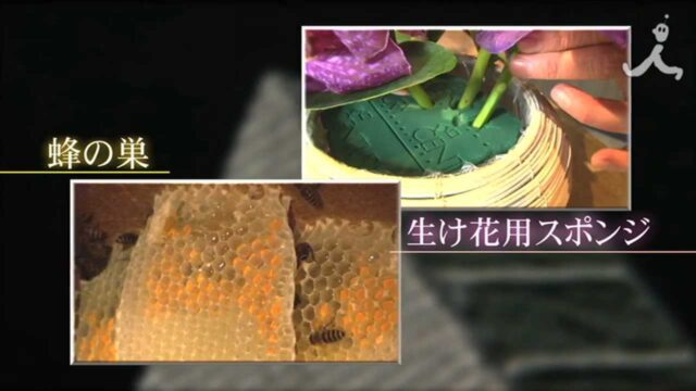 TBS「夢の扉＋」～騒音ゼロの世の中をつくる！