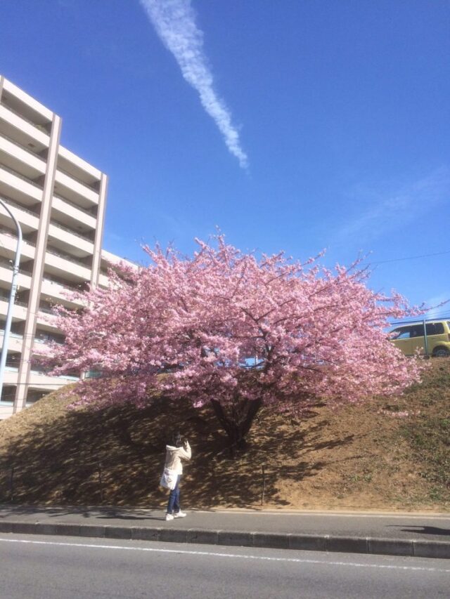 低周波用吸音箱～密閉扉・配線出し入れ出来ます～＠研究室
