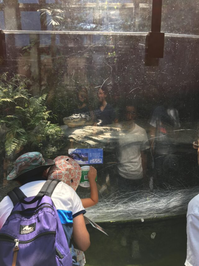 休日に沖縄からきた友人と『東京』を満喫～築地市場と上野動物園へ行ってきました！