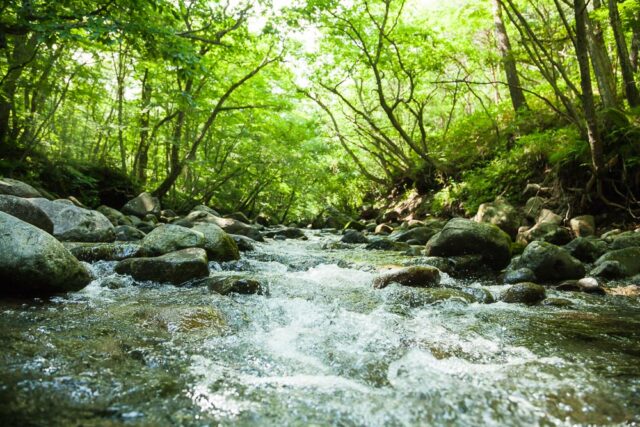 集中力を高める効果や安眠をもたらす効果がある『ホワイトノイズ』について