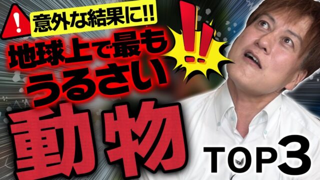 防音王子ちゃんねる～【ゆっくり解説】地球上で最もうるさい動物ランキングTOP3【音専門家解説】