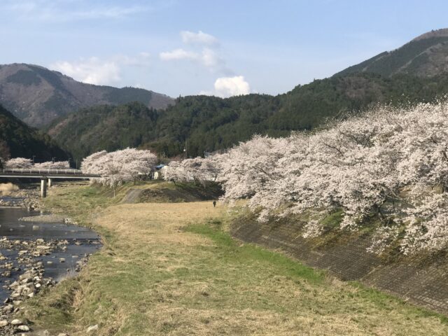弊社現場調査までの流れと内容～お客様にその場でイメージを共有する重要性について