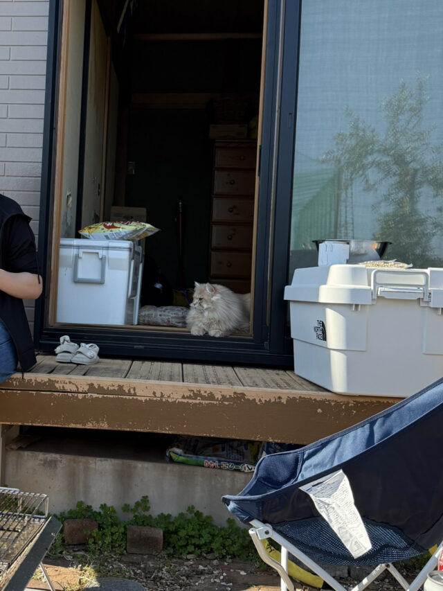 【午前編】営業事務（総務部）の仕事についてまとめてみました！～午前中の主なスケジュール・業務内容など